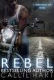 Carnet de lecture de Julie Ambre Rebel10