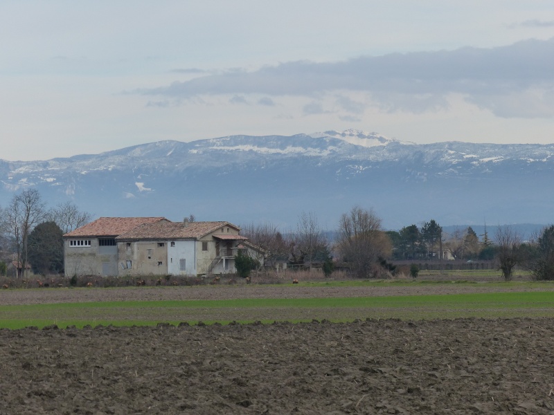 Viarhona (confluence entre le fleuve du Rhône et la rivière Drôme) P1020013