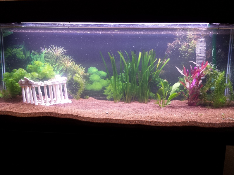 250 litres en cours 20141214