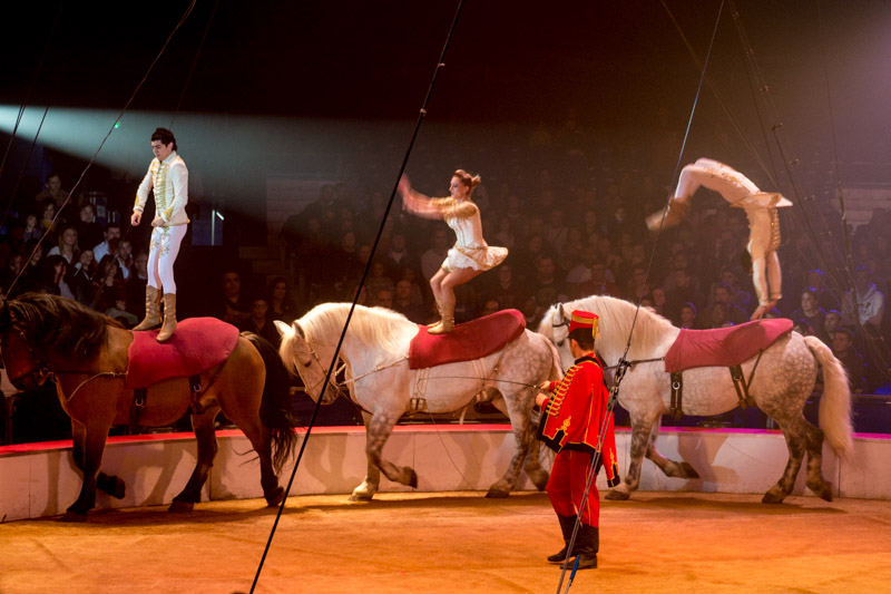 Festival international du cirque de Massy P1050010