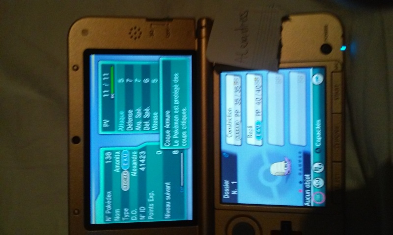 Mes petits shinies à moi ! - Page 2 20150212