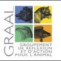 CHEVAL ESPOIR Graal11