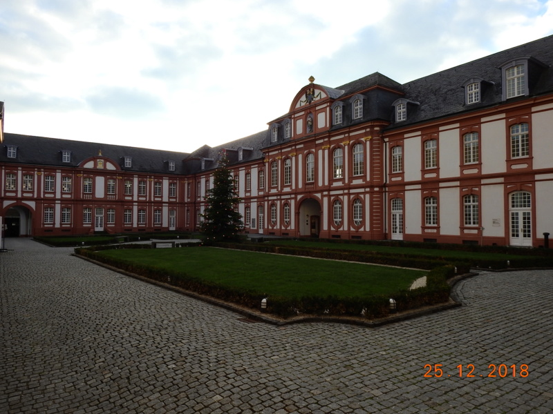 Cacti and Sukkulent in Köln, every day new flowers in the greenhouse Part 205 Bild1898