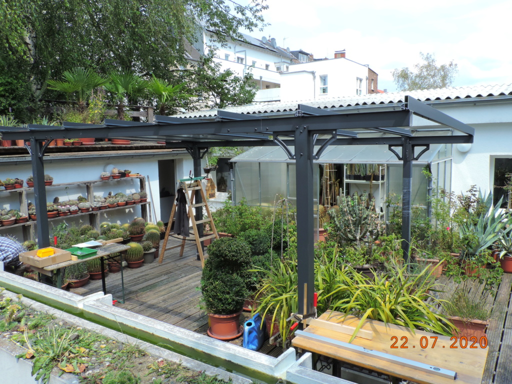 Cacti and Sukkulent in Köln, every day new flowers in the greenhouse Part 239 Bild5752