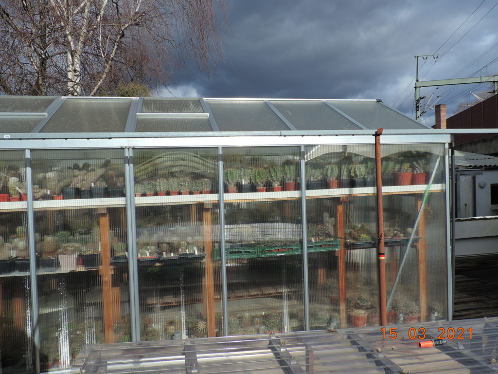 Cacti and Sukkulent in Köln, every day new flowers in the greenhouse Part 254 Bild7411