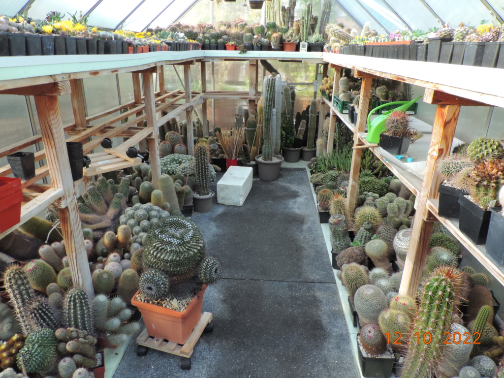 Cacti and Sukkulent in Köln, every day new flowers in the greenhouse Part 281 Bild9907