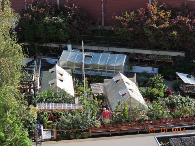 Cacti and Sukkulent in Köln, every day new flowers in the greenhouse Part 204 Bild_010