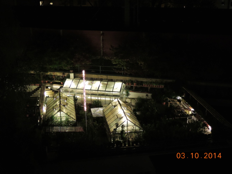 Cacti and Sukkulent in Köln, every day new flowers in the greenhouse Part 204 Bild_011