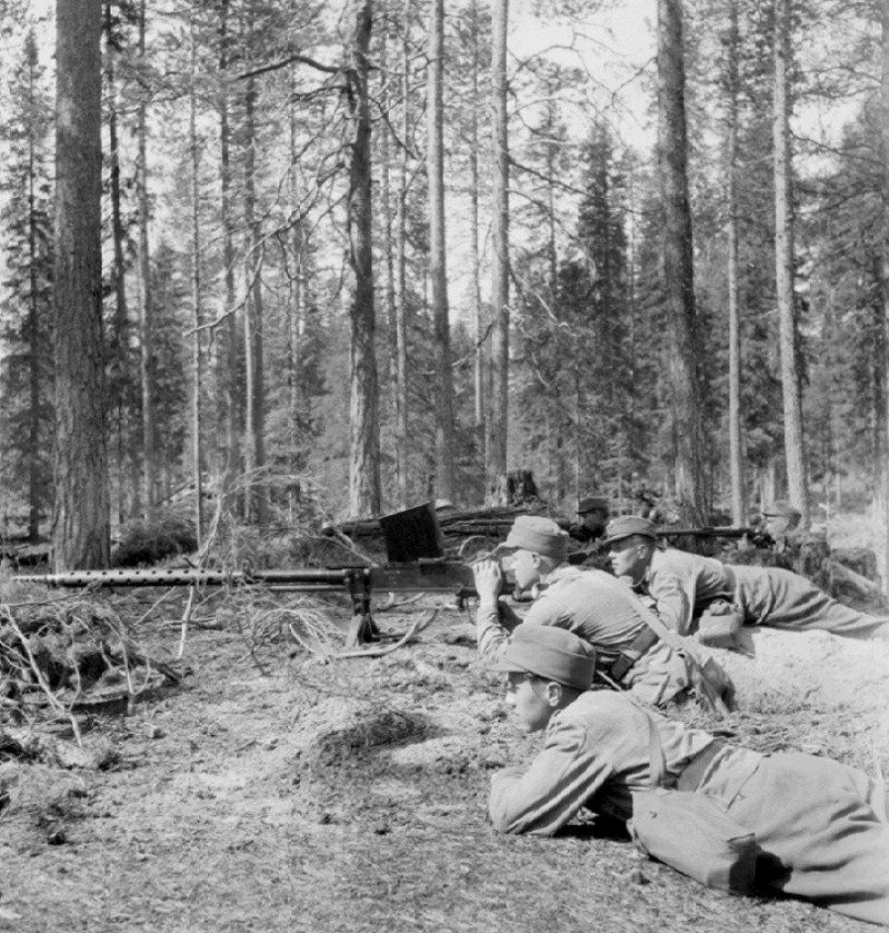 L'armée Finlandaise pendant la seconde guerre mondiale. - Page 3