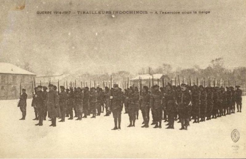 Nos tirailleurs indochinois dans la Grande guerre . Ta210
