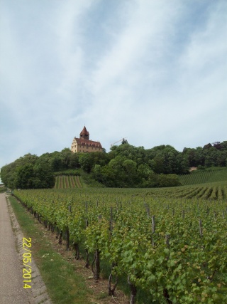 =Castelul Stocksberg-Germania,-2014.... 100_7527