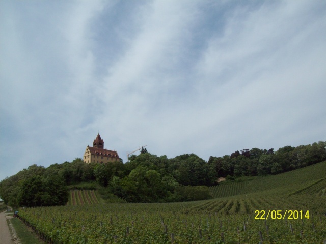 =Castelul Stocksberg-Germania,-2014.... 100_7528