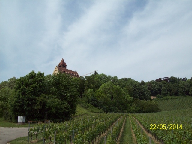 =Castelul Stocksberg-Germania,-2014.... 100_7529