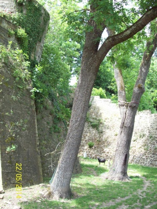 =Castelul Stocksberg-Germania,-2014.... 100_7575