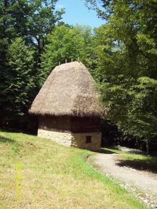 =Dumbrava Sibiului,muzeul satului,... 101_0418