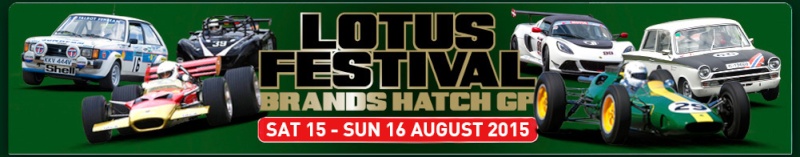 Lotus festival Banner10