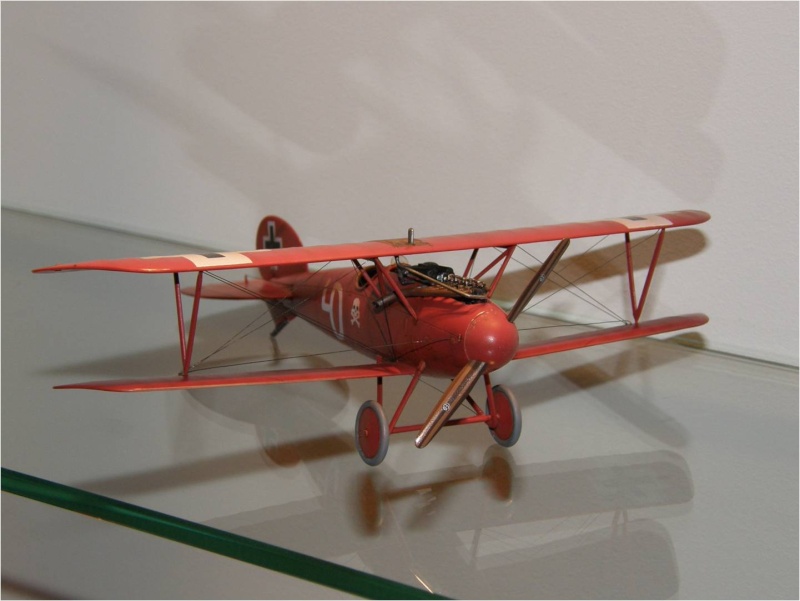 Albatros DV  1/48 -  ddéclinaison rouge   pour deco ...  Image114