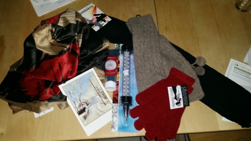 Photos - SWAP Il fait trop froid dehors !!! [3/3 photos postées] 20150230