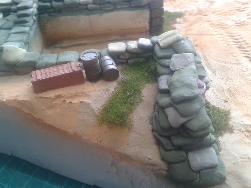 M42 DUSTER dans son abris 20150151