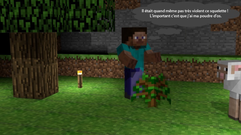 Mes images 3D Minecraft Craacr11