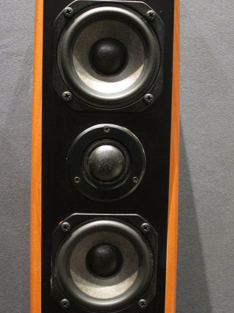 DLS-D3-Floorstand Speaker-(Used) D3_pic19