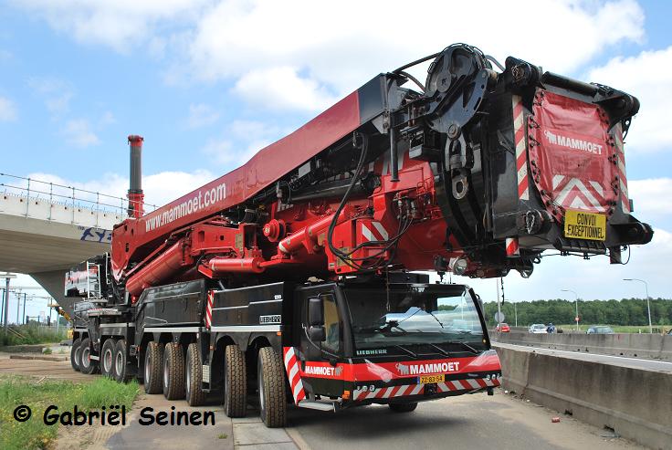 Les plus belles photos de grues (pas les votres) - Page 2 210