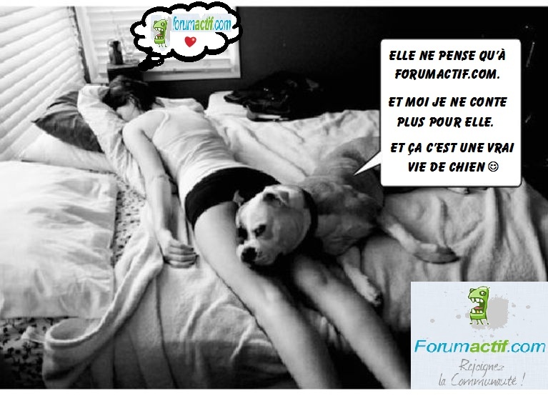 Concours Fan Art "J'aime Forumactif" - Page 3 _cdfx_10