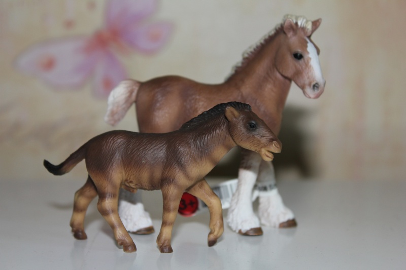 My Bullyland figurines. Img_0916