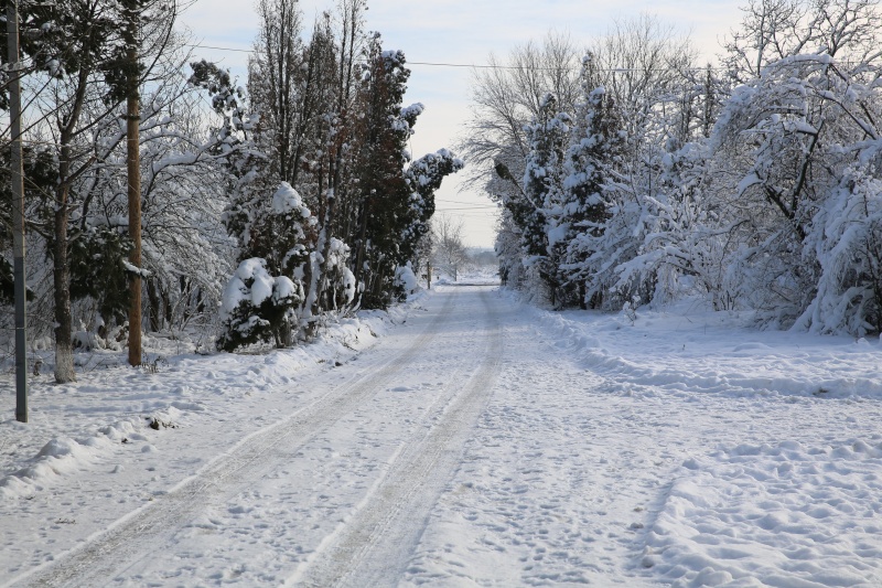 Refuge Vendredi 2 Janvier 2015 Hx9a6612