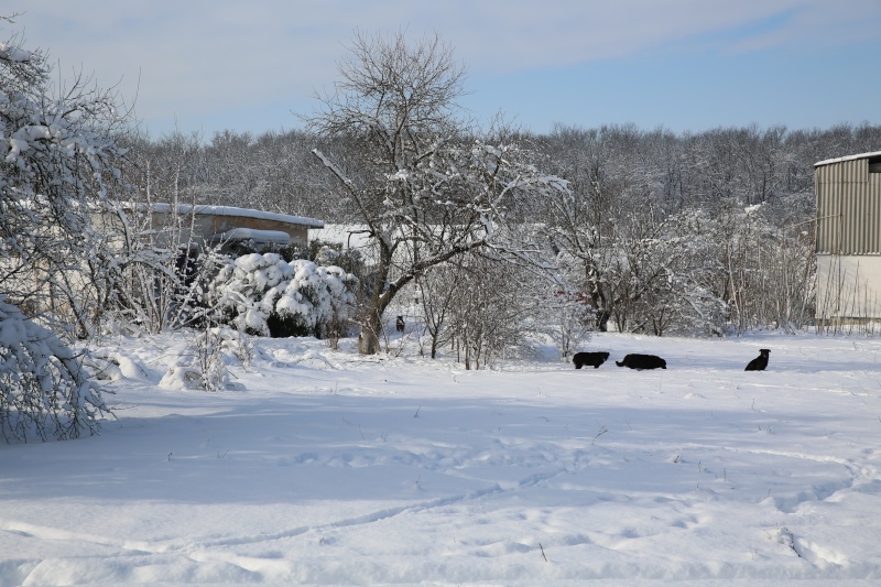 Refuge Vendredi 2 Janvier 2015 Hx9a6624