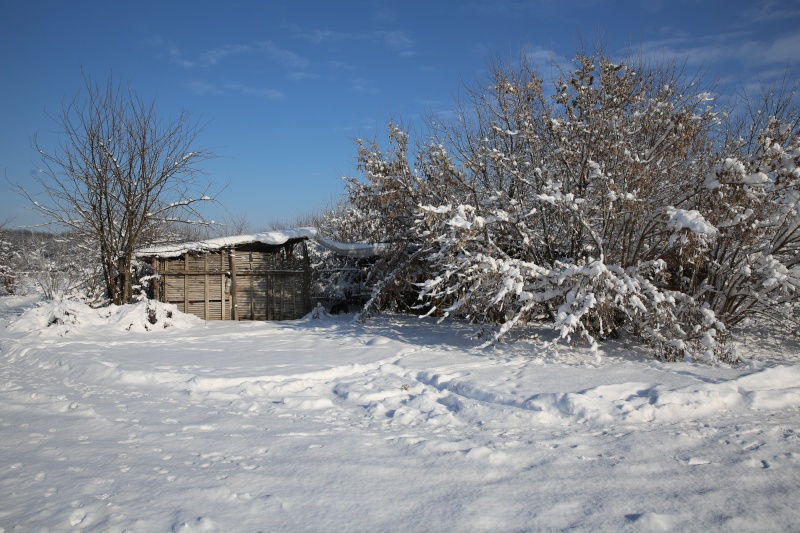 Refuge Vendredi 2 Janvier 2015 Hx9a6710