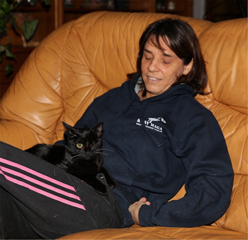 Gina, petite chatte handicapée, née en août 2014 - Adoptée. Hx9a7424
