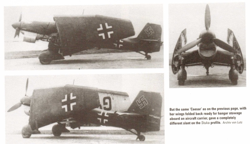 The Stuka! Stuka11