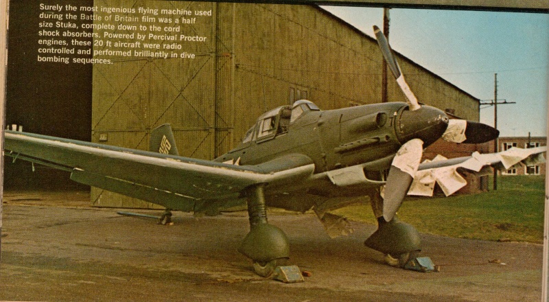 The Stuka! Stuka110