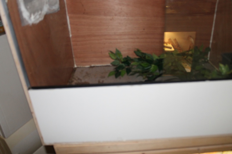 Nature bois terrarium pogona + ventilation Img_1718