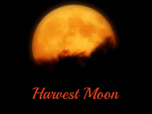 [Advance] Harvest Moon OOC Harves10