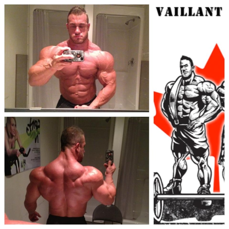 Antoine Vaillant 2012 - Page 10 22628910