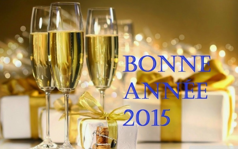 Bonne année à tous Meille13