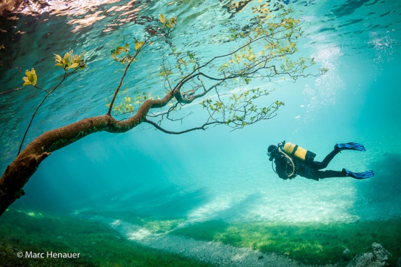 Chaque printemps, ce parc autrichien disparaît sous des eaux limpides pour un spectacle grandiose. Impres10