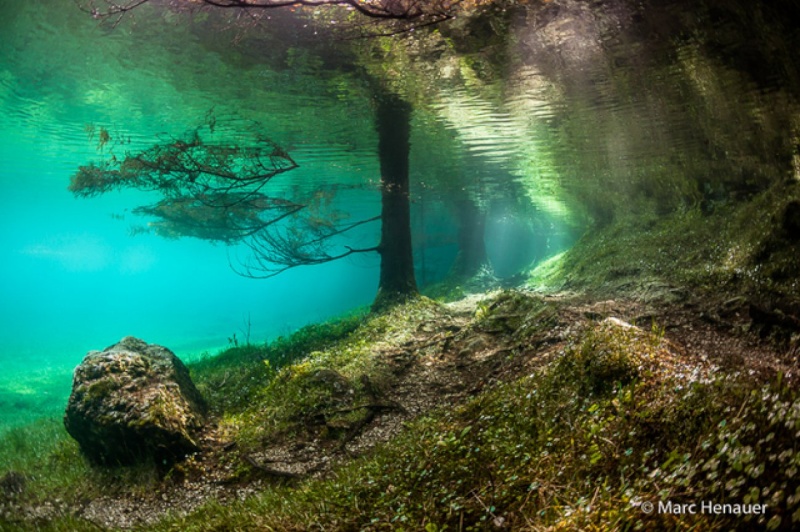 Chaque printemps, ce parc autrichien disparaît sous des eaux limpides pour un spectacle grandiose. Impres16