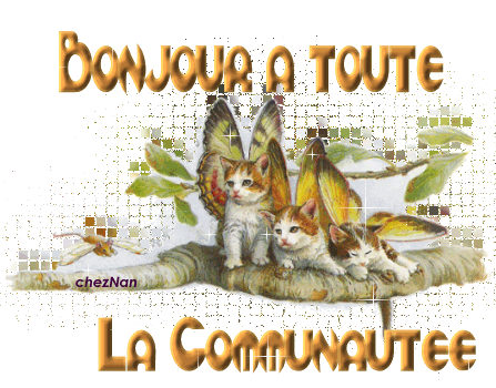 Salut les amis !!!! - Page 17 Bonjou10