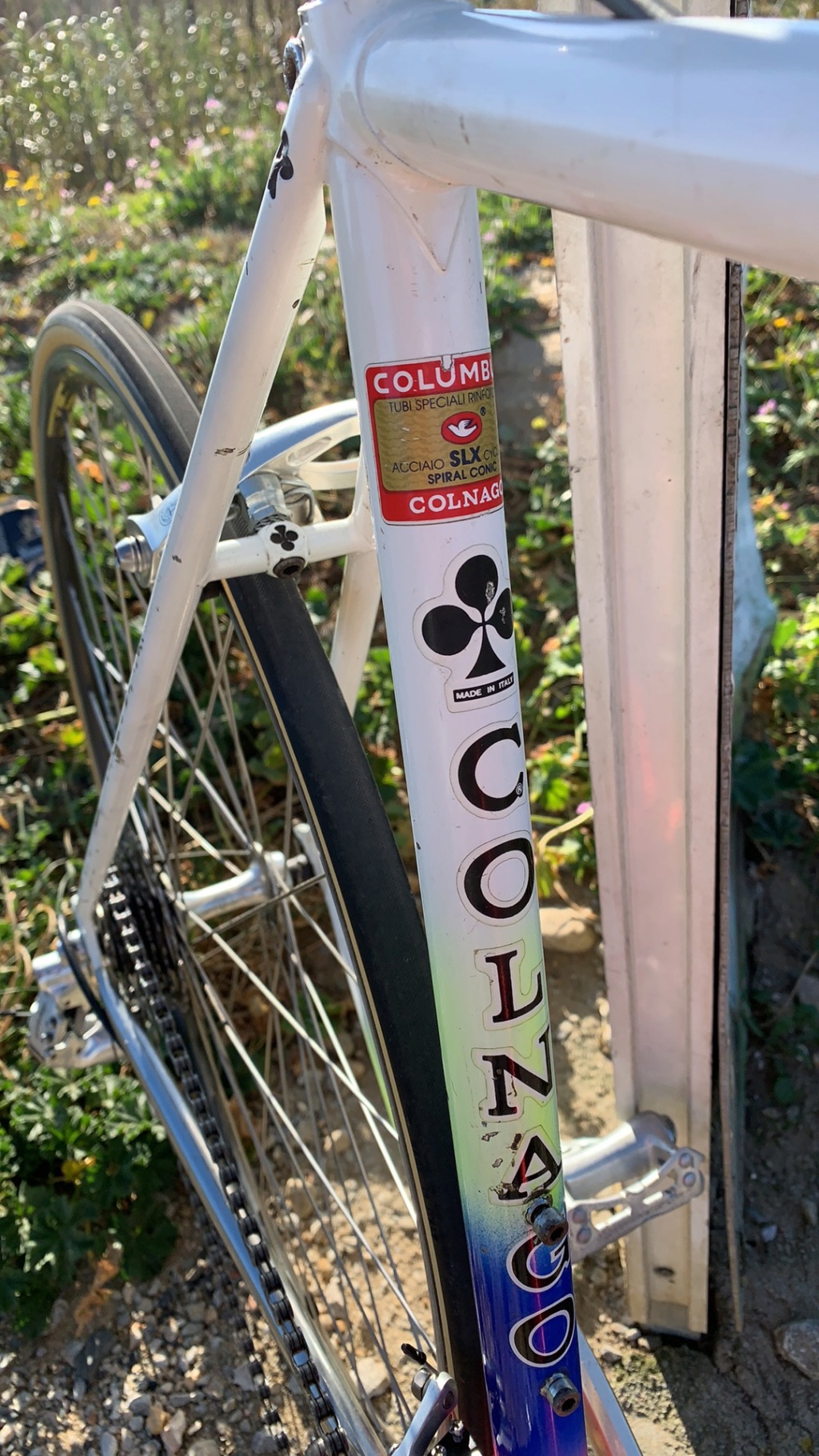 Colnago master più 1987 C4577310
