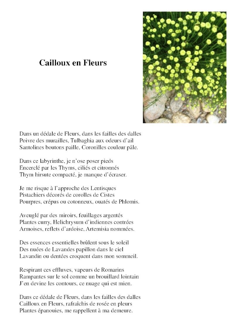 quelques poèmes de mon 1er recueil de poésie Caillo10