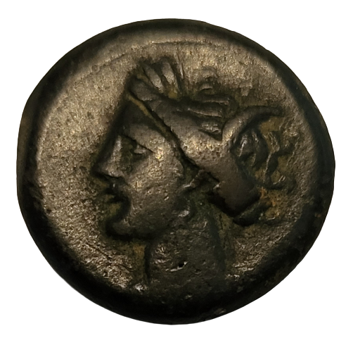 Bronze Carthage 20230710