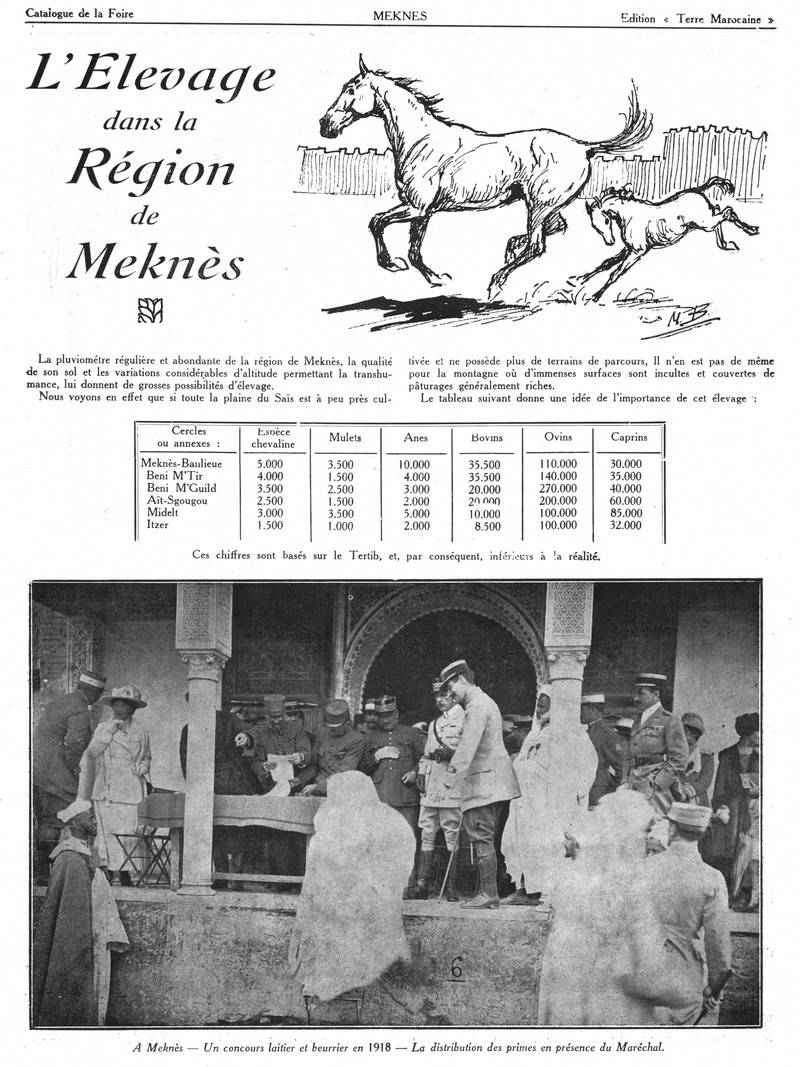 Foire de Meknès - Page 2 Swsca133