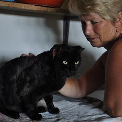 Gravement brûlé, un chat survit à la cruauté de deux enfants Plume-10