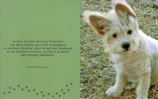 citations sur le chien - Page 3 40be9c10