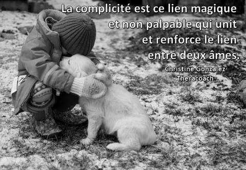 Citations Sur Le Chien Page 3 Citations Sur Le Chien Page 3