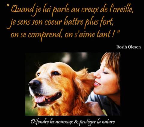 Citations Sur Le Chien Page 4