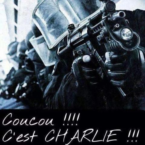 Charlie Hebdo !........ - Page 18 V_f71410